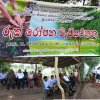 Ruhunuketha_Plantation_Programme
